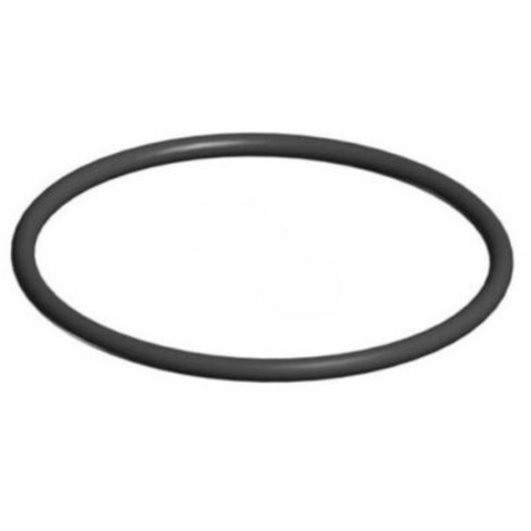 MAXFLO II PUMP STRAINER COVER O-RING (SPX2700Z4)